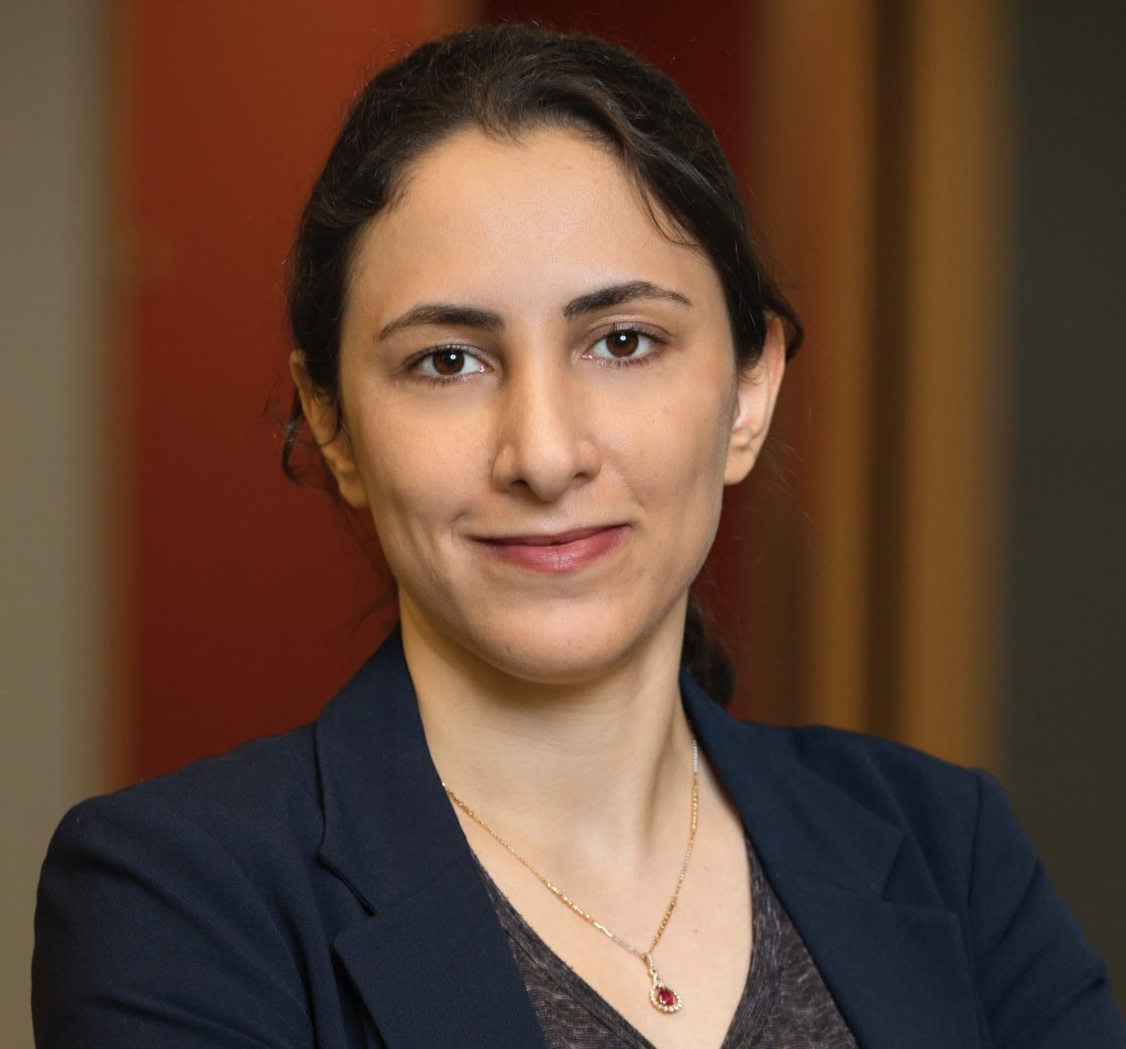 Prof. Dr. Mahsa Shoaran